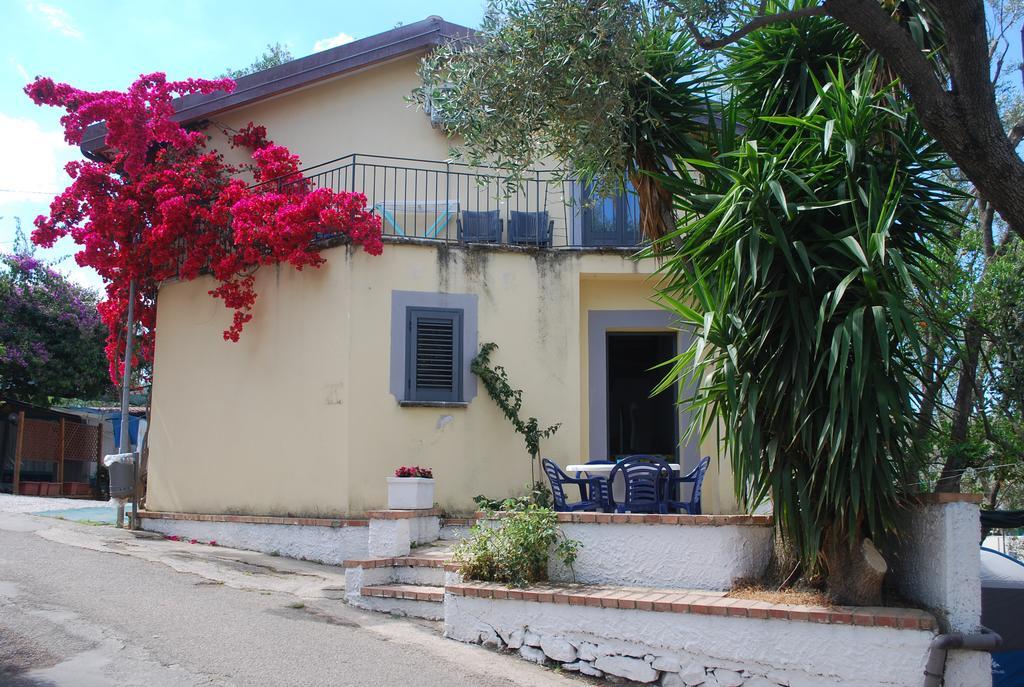 Camping Villaggio Saline بالينورو المظهر الخارجي الصورة