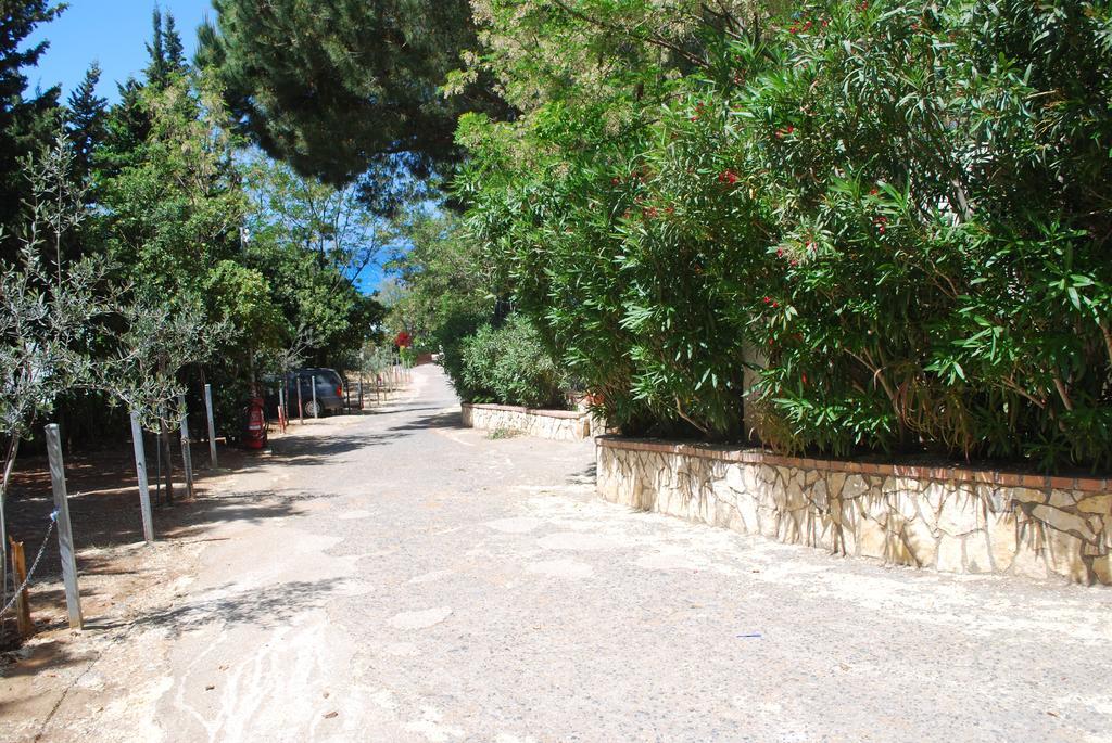 Camping Villaggio Saline بالينورو المظهر الخارجي الصورة